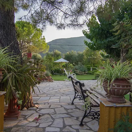 Olive Tree Apartment *